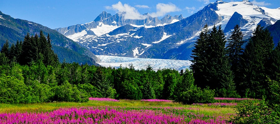 Visit the Stunning Mendenhall Glacier on a Alaska Cruise